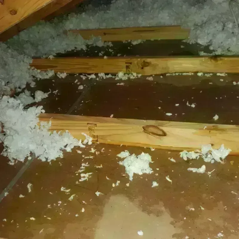 Attic Water Damage in Ames Lake, WA