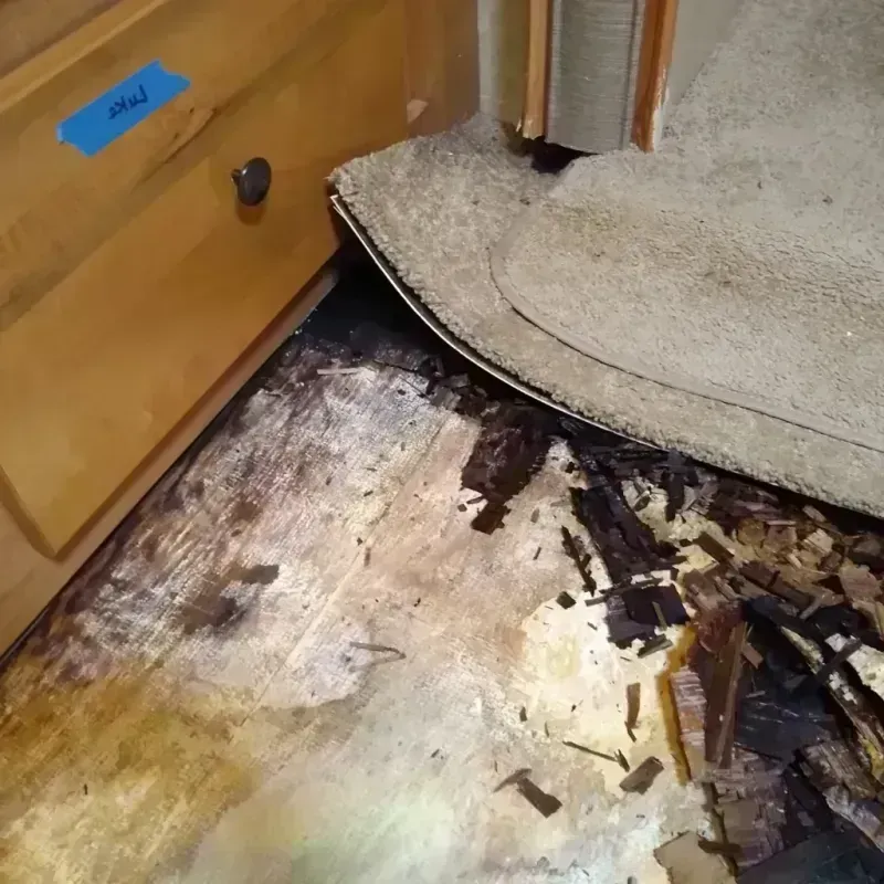 Wood Floor Water Damage in Ames Lake, WA